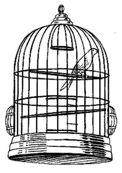 cage